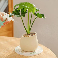 alt="Diatomaceous Earth Stone Planter Mat - Flower pattern5"