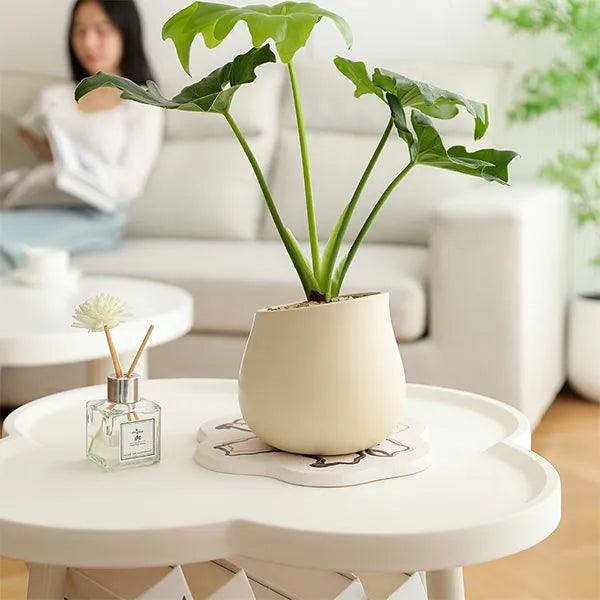 alt="Diatomaceous Earth Stone Planter Mat - Floral Texture5"