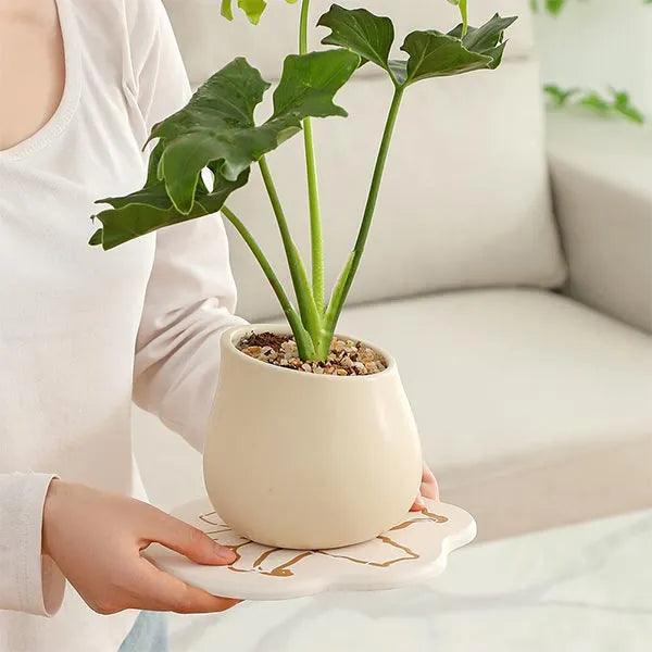 alt="Diatomaceous Earth Stone Planter Mat - Floral Texture6"