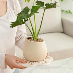 alt="Diatomaceous Earth Stone Planter Mat - Floral Texture6"