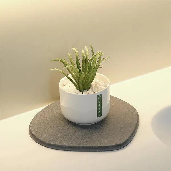 alt="Diatomaceous Earth Stone Planter Mat - Lrregular-Shaped Mat8"